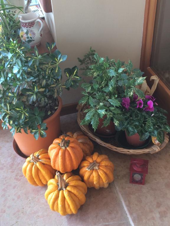 Agriturismo Crocerone Bassano del Grappa Eksteriør bilde